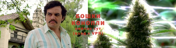 СК Вязники