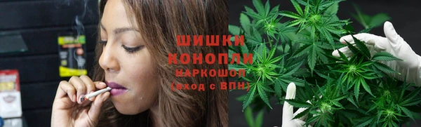 СК Вязьма