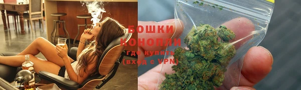 МДПВ Вяземский