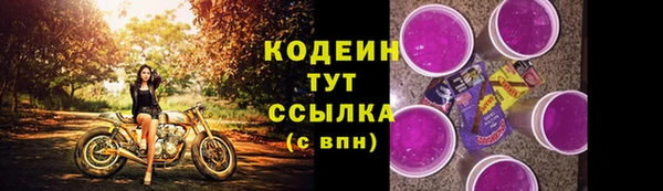 СК Вязьма