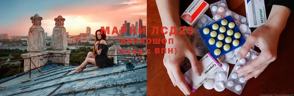 СК Вязьма